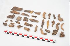 Foto von Eisenkonvolut (NHMW-PRAE-094301)